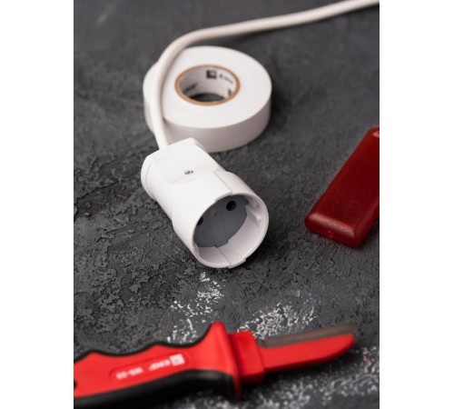 Гнездо штепсельное б/з бел. 10А 250В EKF PROxima  ASG10-10  EKF