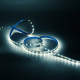Лента светодиодная Basic LED 5050/60 12V 8W/m 900lm/m 4000K 10mm IP20 3m 1/100  BT023  Gauss