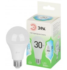 Лампа светодиодная  GREEN LINE LED A65-30W-840-E27 GL E27 30 Вт груша яркий белый свет  Б0067144  ЭРА