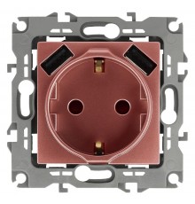 12-4109-14 Розетка с заземлением 16A-250В, штор. с 2xUSB 5В-3А, 12, медь   Б0047848  ЭРА