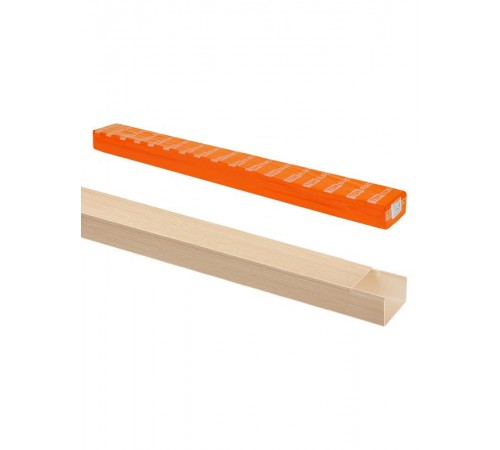 Кабель-канал 100х60 (2 м = 1 шт) "ЭКО" 3D сосна  SQ0402-2310  TDM
