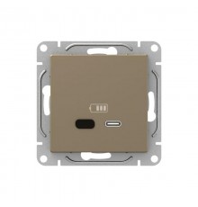 Механизм розетки USB-С, быстрая, шампань Эпика  UP1-SOC-USBCF EKF