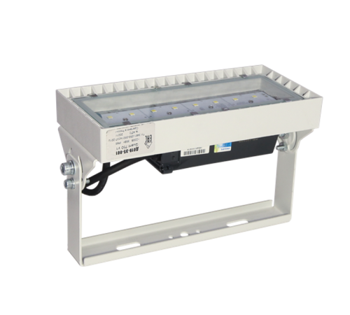 Прожектор ДО19-55-101 Quant 750  1230505101  АСТЗ