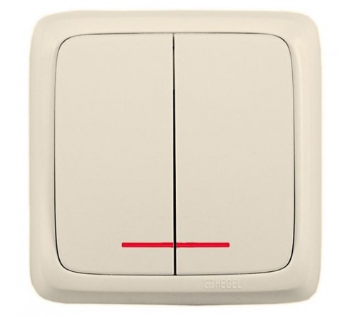 Выключатель открытой установки, двухклавишный, с индикацией, с изолирующей пластиной, цвет слонова кость  ВА16-154-01  HEGEL