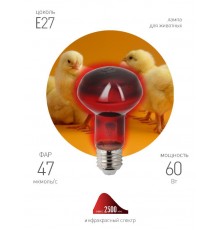 Инфракрасная лампа ИКЗК 230-60 R63 Е27 для обогрева животных 60 Вт Е27  Б0057281  ЭРА