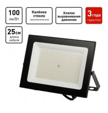 Прожектор светодиодный уличный  PRO LPR-062-0-65K-100 100Вт 10000лм 6500К IP65 призма   Б0064701  ЭРА