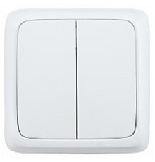 Выключатель открытой установки, двухклавишный, с изолирующей пластиной, цвет белый  ВА10-153  HEGEL