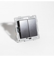 Переключатель двухклавишный, 10А, 220-250V (антрацит)  201124  SPL