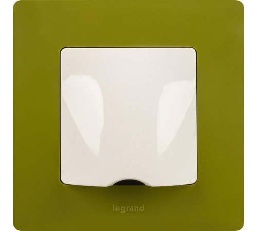 Etika Зеленый папоротник Рамка 1-ая  672541  Legrand