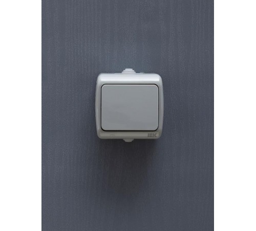 AQUATIC IEK Выключатель 1-клавишный 10А О/У IP54 ВС-20-1-0-А  EVA10-K03-10-54  GENERICA