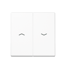 2-я клавиша с символами "стрелки" для баланс. мех. выкл. (кнопок), в компл с AS90-5HP , возможно IP44; дюропласт; белый; A500 A595PWW  Jung