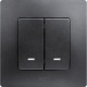 Etika Антрацит Выключатель 2-клавишный с подсветкой/индикацией, автозажимные клеммы, 10 AX, 250 В  672604  Legrand