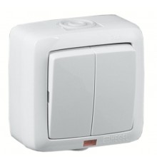 Выключатель открытой установки, двухклавишный, с индикацией, брызгозащищенный, цвет белый  ВА16-252  HEGEL