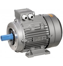 Электродвигатель 3ф.АИС 56B4 380В 0,09кВт 1500об/мин 2181 (комби (лапы+фланец) + малый фланец) серии ONI  ONS056-B4-000-1-1521  ONI
