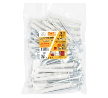 Дюбель фасад. с шурупом шест.гол. с шлицем TORX прессшайба 10x100 (30 шт) - пакет  147649  Tecfi