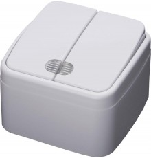 PSW10-32-20 Выключатель открытой установки 2-клавишный с индикатором, 250В, 10А, серия Basic, белый  39030  STEKKER