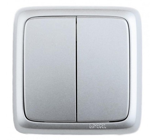 Выключатель открытой установки, двухклавишный, с монтажной пластиной, цвет серебро  ВА16-155-06  HEGEL