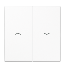 2-я клавиша с символами "стрелки" для балансирных мех выкл (кнопок), в комплекте с CD95HP, возможно IP44; дюропласт; белый; LS990 LS995PWW Jung