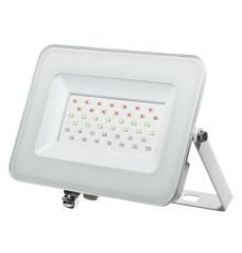 Прожектор светодиодный PFL- 30W RGB WH IP65 Прожектор БЕЛЫЙ  .5012103  Jazzway