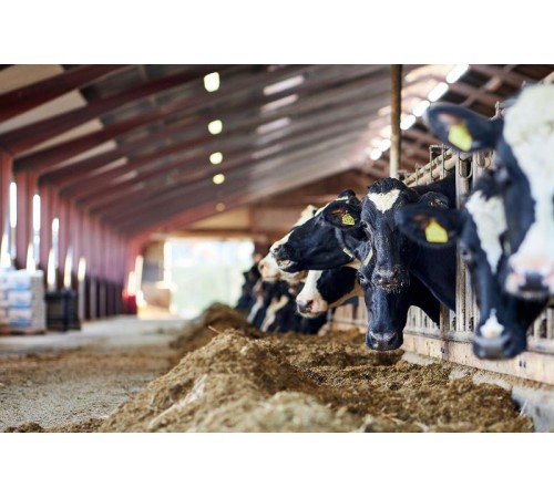 Светильник светодиодный промышленный линейный ДСП 1471 18Вт 5000К IP69 PMMA для агрессивных сред  LDSP0-1471-18-5000-K01  IEK