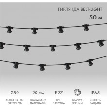 Шнур Belt-Light  2 жилы  шаг 20 см патроны e27 влагостойкая IP65  331-211  NEON-NIGHT