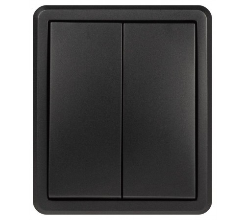 Выключатель ЭРА Эксперт 11-1204-05 двойной IP20 10АХ-250В ОУ Антрацит  Б0063026  ЭРА