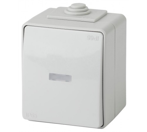 Переключатель с подсветкой IP65, 10АХ-250В, ОУ, 11-1610-03 Эра Эксперт, Серый  Б0035981  ЭРА