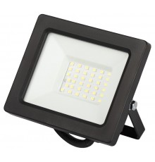 Прожектор светодиодный   LPR-042-3-65K-030 30Вт 6500К 2400лм IP65 с встроенным фотореле  Б0064443  ЭРА