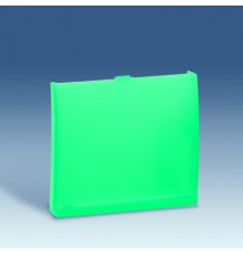 Simon 44 Aqua Накладка декоративная сменная для рамки под ориентационный светильник, S44 Aqua, прозрачный зелёный  4400092-108  Simon