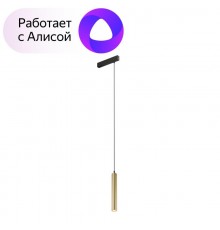 Светильник трековый подвесной DK8008-BG SMART HANG 9W DIM 2700K-6000K матовое золото с черным  DK8008-BG  DENKIRS