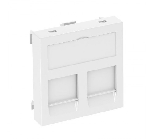 Корпус компьютерной розетки Modul45 тип B (прямой) 45x45 мм (белый) (DTG-2B RW1)  6119208  OBO Bettermann