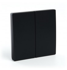 Выключатель дистанционного управления 230V 500W двухклавишный, TM82, черный  41723  FERON