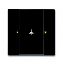 6125/02-885-500 Сенсор 1/2-кл. многофункциональный, черный бархат  6115-0-0227  2CKA006115A0227  ABB