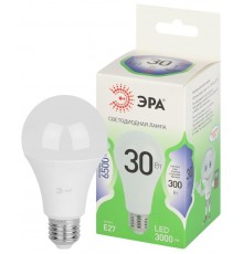 Лампа светодиодная  GREEN LINE LED A65-30W-865-E27 GL E27 30 Вт груша холодный свет  Б0067145  ЭРА