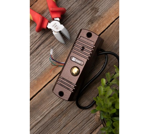 Вызывная видеопанель CPV-01 медь 4пр. 1000TVL IP65 EKF  int-cpv-01  EKF