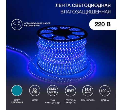 LED лента 220В, 13*8 мм, IP65, SMD 5050, 60 LED/m Синяя, бухта 50 м Neon-Night