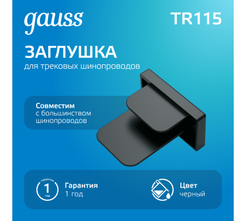 Заглушка для трекового шинопровода осветительного черный  TR115  Gauss