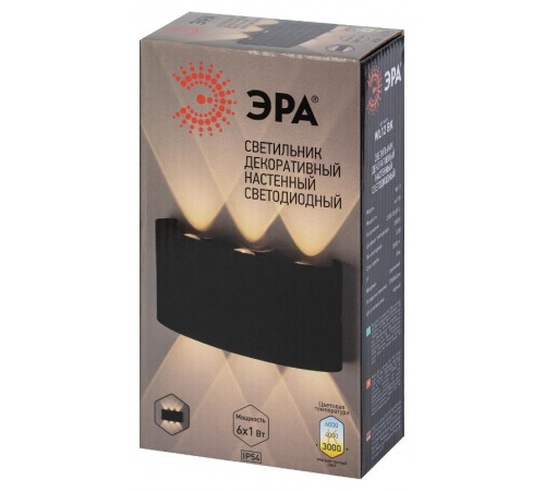 Декоративная подсветка светодиодная WL12 BK 6*1Вт IP 54 черный  Б0034611  ЭРА