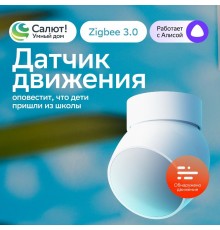 Умный датчик движения   SBDV-00029  Sber