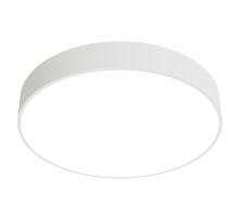 Светильник люминесцентный накладной ЛПО31-6х24-203 Zefir  1258624203  АСТЗ