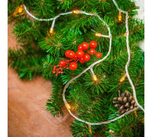 Cветодиодная гирлянда ARD-CURTAIN-HOME-2000x2500-CLEAR-300LED Warm (230V, 12W)  024835  Arlight