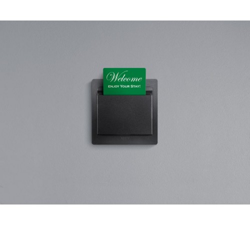 Etika Антрацит Выключатель карточный с выдержкой времени, с подсветкой  672693  Legrand