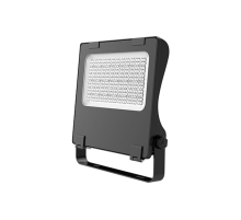 Прожектор светодиодный ДО08-200-101 FLG 750  1202520101  АСТЗ