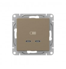 Механизм розетки USB-C - 2шт, шампань Эпика  UP1-SOC-2USBC EKF