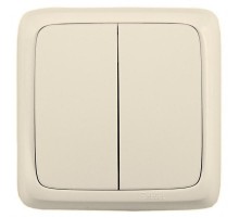 Выключатель открытой установки, двухклавишный, с монтажной пластиной, цвет слоновая кость  ВА10-155-01  HEGEL