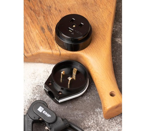 Разъем РШ-ВШ 32А 250В 2P+PE (ОУ) карболитовый черный EKF PROxima  AS-250-O-03  EKF