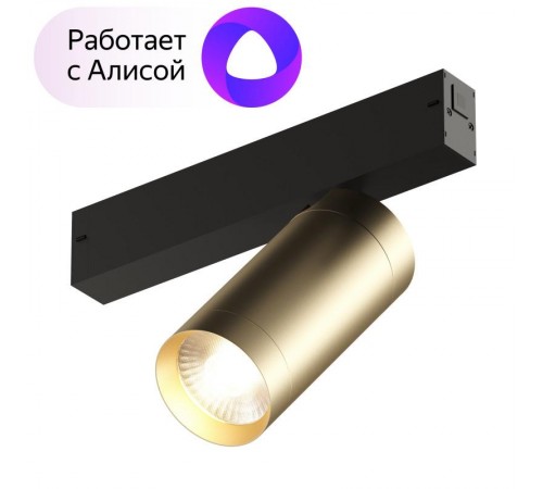 Светильник трековый акцентный DK8020-BG SMART SPOT 20W DIM 3000K-6000K, матовое золото с черным  DK8020-BG  DENKIRS