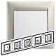 Valena Жемчужный Рамка 5-ая гориз  770475  Legrand