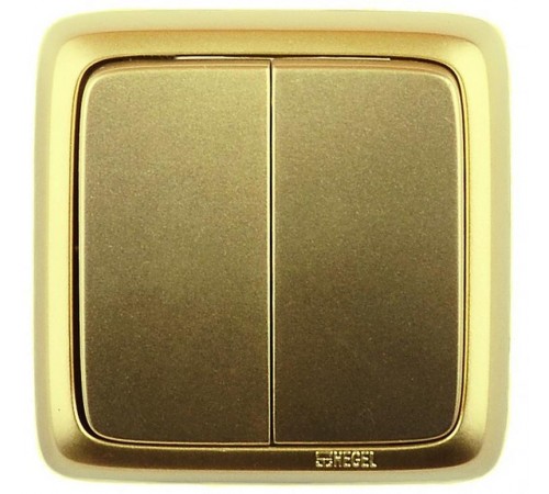 Выключатель открытой установки, двухклавишный, с монтажной пластиной, цвет золото  ВА16-155-07  HEGEL