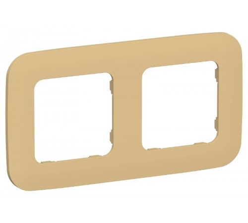 FLITE Artistic Рамка 2-ая РУ-2-А-ФлШм шамуа  FI-M22-31-20-K89  IEK